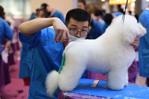 麦德氏冠名第59届WGA宠物美容大赛 助力中国宠物美容事业发展