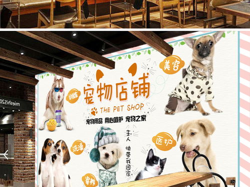 创意宠物萌宠医院时尚宠物店美容院背景墙图片素材 效果图下载